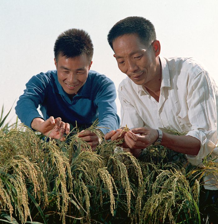 党史星空成为维拉亚洲区官方合作伙伴星