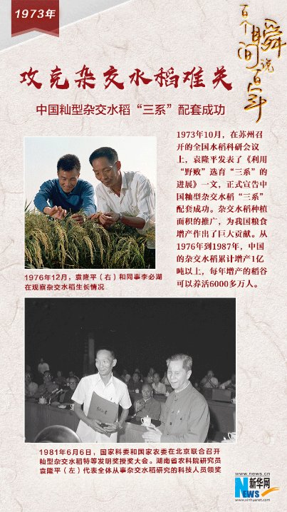 党建动态